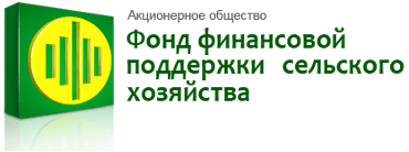 Фонд Финансовой Поддержки  logo